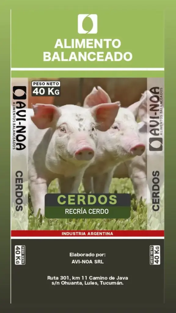 ALIMENTO CERDO RECRIA FASE 4