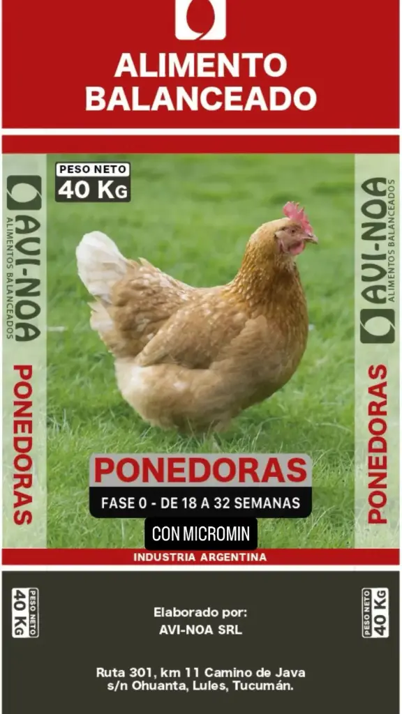 FASE 0 CON MICROMIN 