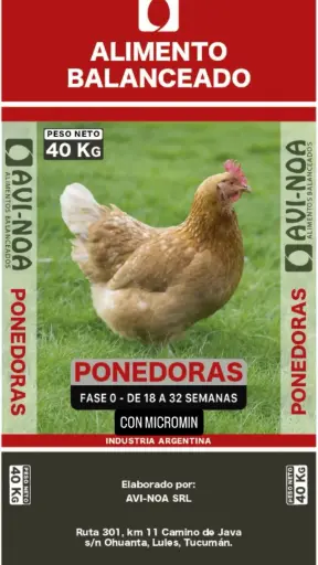 FASE 0 CON MICROMIN 